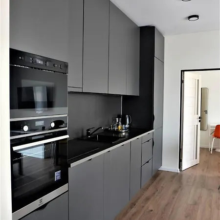 アパート Nauji Apartamentai Su Kiemeliu カウナス